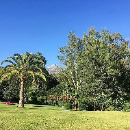 Nueva Andalucia - Penthouse Lejlighed *