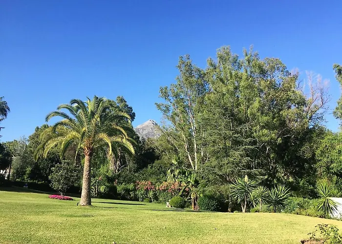 Nueva Andalucia - Penthouse Lejlighed *